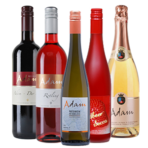 Shop des Weingut Adam Shop Bild